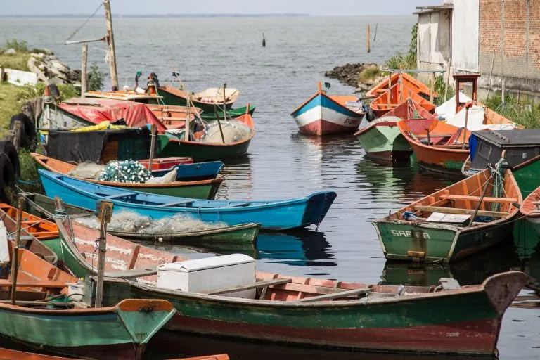 Pescadores debaterão mudanças no seguro-defeso em audiência no Senado