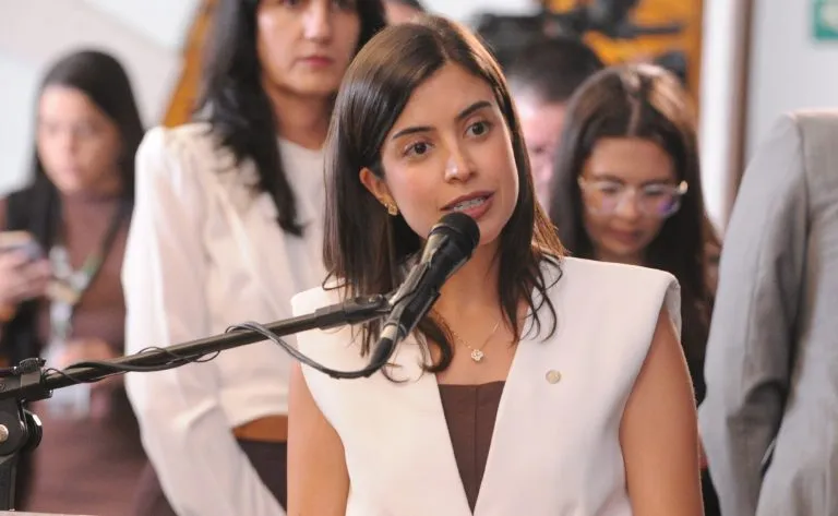 Anna Nery: pioneira da enfermagem é a nova patrona do Brasil