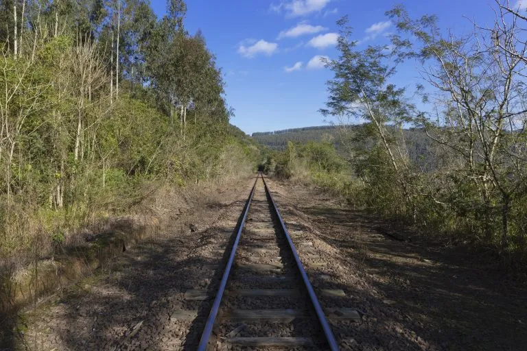Ferrovias do Sul: audiência pública discute futuro da Rumo Malha Sul e o escoamento de grãos