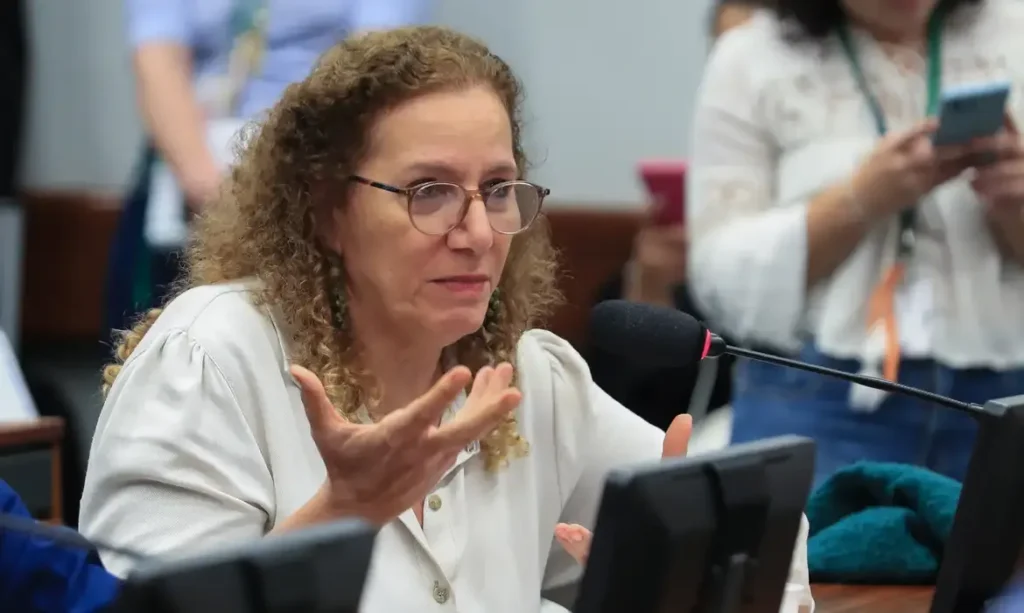 Parlamentares governistas buscam diálogo em Washington contra narrativas de direita