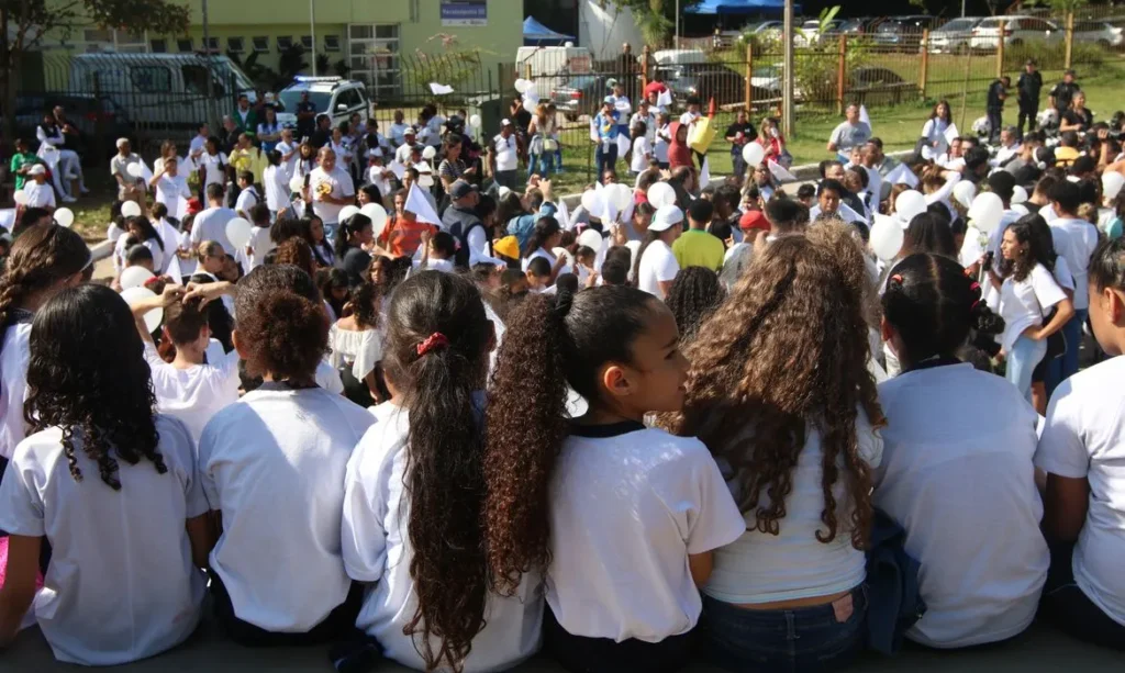 Cidadania e política se tornam disciplinas obrigatórias no ensino básico brasileiro