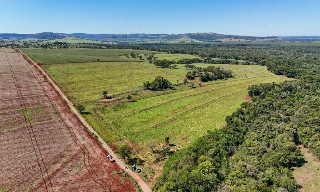 Proprietários rurais: último dia para declarar o Imposto sobre Propriedade Territorial Rural